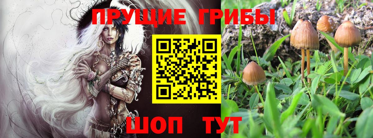Галлюциногенные грибы мухоморы Калининград