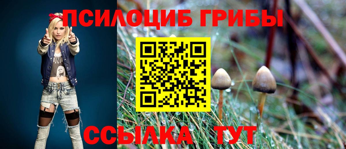 Калининград  Галлюциногенные грибы Cubensis  Вход с VPN  Псилоцибиновые грибы мицелий 